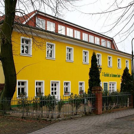 Hotel Landgasthof Zur Krummen Linde Stolpe  Exterior foto